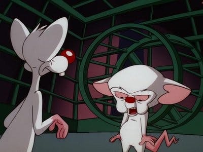 Assistir Pinky e o Cérebro Temporada 4 Episódio 8 Online em HD