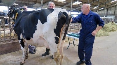 Assistir Clínica Animal com Dr. Pol Temporada 11 Episódio 1 Online em HD