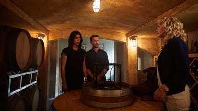 Assistir Private Eyes Temporada 3 Episódio 5 Online em HD