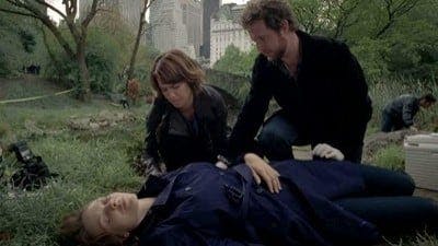 Assistir CSI: Nova York Temporada 8 Episódio 9 Online em HD