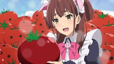 Assistir Akiba Maid War Temporada 1 Episódio 5 Online em HD