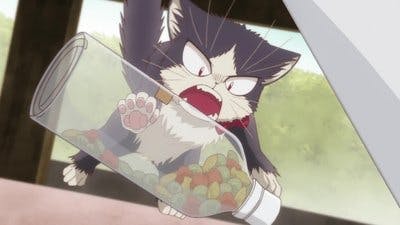 Assistir My Roommate is a Cat Temporada 1 Episódio 5 Online em HD