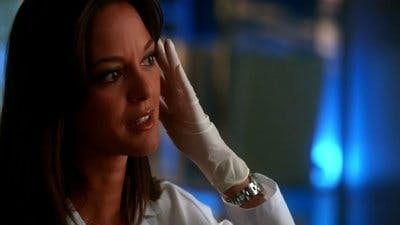 Assistir CSI: Miami Temporada 8 Episódio 21 Online em HD