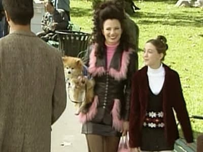 Assistir The Nanny Temporada 5 Episódio 4 Online em HD