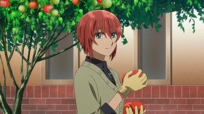 Assistir The Ancient Magus’ Bride Temporada 2 Episódio 17 Online em HD