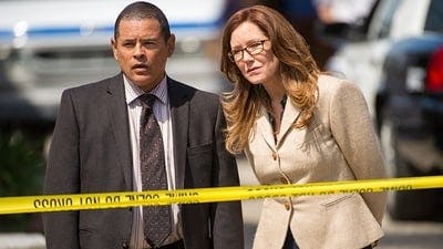 Assistir Crimes Graves Temporada 3 Episódio 2 Online em HD