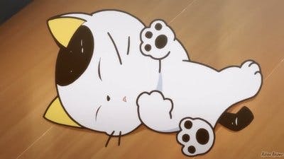 Assistir Uchi Tama?! Uchi no Tama Shirimasen ka? Temporada 1 Episódio 21 Online em HD