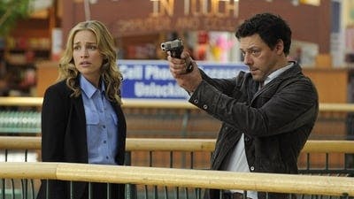 Assistir Covert Affairs: Assuntos Confidenciais Temporada 3 Episódio 8 Online em HD