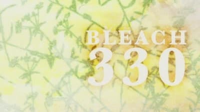 Assistir Bleach Temporada 1 Episódio 330 Online em HD