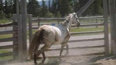 Assistir Heartland Temporada 16 Episódio 6 Online em HD