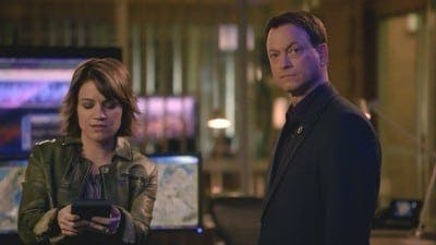 Assistir CSI: Nova York Temporada 8 Episódio 16 Online em HD