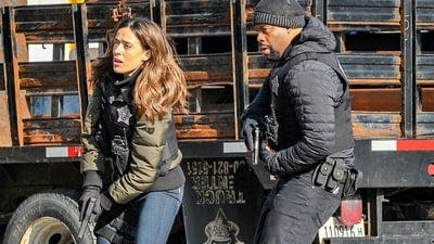 Assistir Chicago P.D.: Distrito 21 Temporada 8 Episódio 7 Online em HD