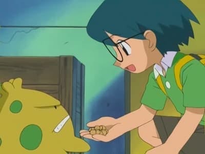 Assistir Pokémon Temporada 6 Episódio 9 Online em HD