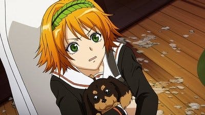 Assistir Inu to Hasami wa Tsukaiyou Temporada 1 Episódio 5 Online em HD
