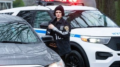 Assistir Law & Order: Crime Organizado Temporada 4 Episódio 11 Online em HD