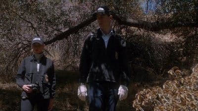 Assistir NCIS: Investigação Naval Temporada 13 Episódio 6 Online em HD