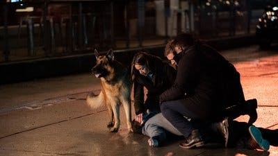 Assistir Hudson & Rex Temporada 5 Episódio 20 Online em HD