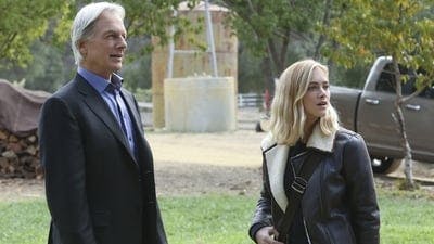 Assistir NCIS: Investigação Naval Temporada 13 Episódio 10 Online em HD