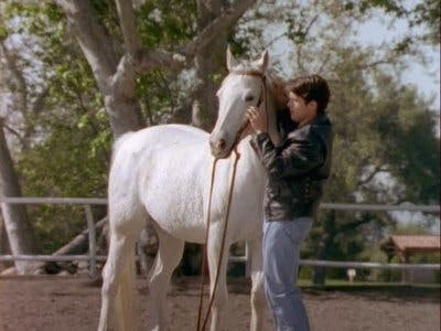 Assistir Power Rangers Temporada 7 Episódio 11 Online em HD