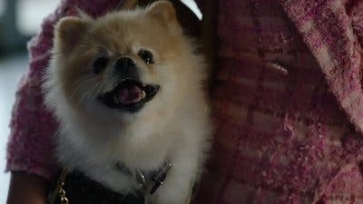 Assistir Wild Cards Temporada 2 Episódio 9 Online em HD