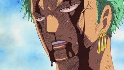 Assistir One Piece Temporada 10 Episódio 377 Online em HD