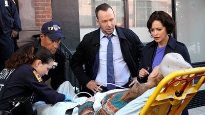 Assistir Sangue Azul Temporada 10 Episódio 7 Online em HD