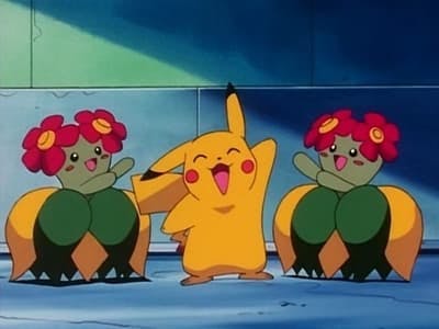 Assistir Pokémon Temporada 3 Episódio 6 Online em HD