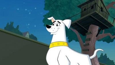 Assistir Krypto, o Supercão Temporada 1 Episódio 21 Online em HD