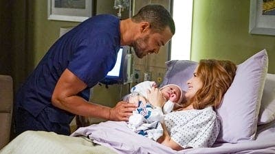 Assistir Grey’s Anatomy Temporada 13 Episódio 1 Online em HD