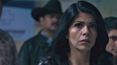 Assistir Senhor dos Céus Temporada 8 Episódio 52 Online em HD