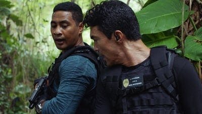 Assistir Havaí Cinco-0 Temporada 10 Episódio 8 Online em HD