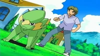 Assistir Pokémon Temporada 10 Episódio 42 Online em HD