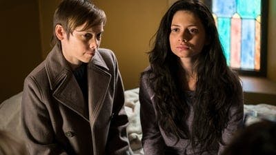 Assistir Lei & Ordem: Unidade de Vítimas Especiais Temporada 17 Episódio 17 Online em HD