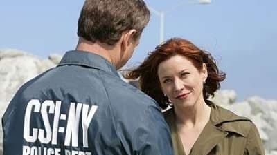 Assistir CSI: Nova York Temporada 4 Episódio 17 Online em HD