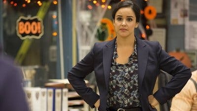Assistir Brooklyn Nine-Nine: Lei e Desordem Temporada 4 Episódio 5 Online em HD