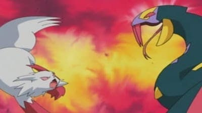 Assistir Pokémon Temporada 7 Episódio 8 Online em HD