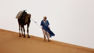 Assistir Sobrevivente Primitivo com Hazen Audel Temporada 1 Episódio 8 Online em HD