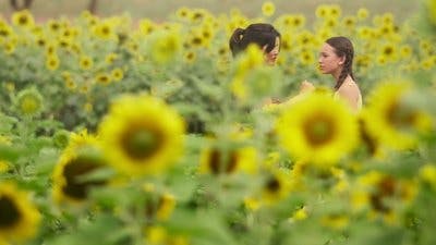 Assistir Scars of Beauty Temporada 1 Episódio 1 Online em HD