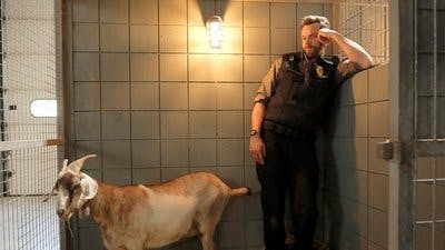 Assistir Animal Control Temporada 3 Episódio 3 Online em HD