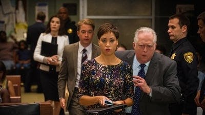 Assistir The Good Wife – Pelo Direito de Recomeçar Temporada 7 Episódio 4 Online em HD