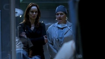 Assistir Prison Break: Em Busca da Verdade Temporada 4 Episódio 15 Online em HD