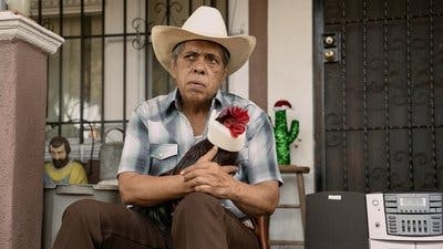 Assistir Este Tonto Temporada 2 Episódio 1 Online em HD