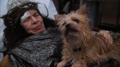 Assistir ER: Plantão Médico Temporada 2 Episódio 18 Online em HD