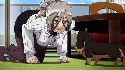 Assistir Inu to Hasami wa Tsukaiyou Temporada 1 Episódio 3 Online em HD