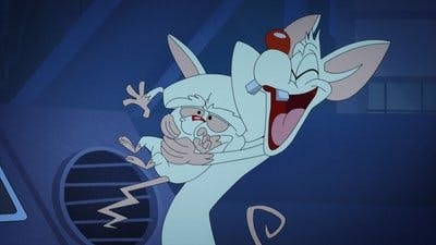 Assistir Animaniacs Temporada 1 Episódio 41 Online em HD