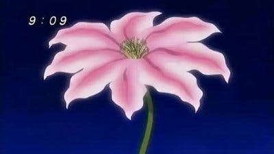 Assistir Zatch Bell! Temporada 1 Episódio 19 Online em HD