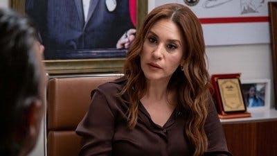 Assistir A Força do Amor Temporada 1 Episódio 14 Online em HD