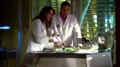 Assistir CSI: Miami Temporada 7 Episódio 5 Online em HD