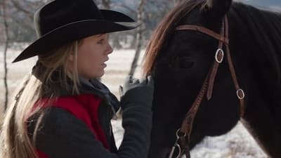 Assistir Heartland Temporada 14 Episódio 5 Online em HD