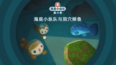 Assistir Octonautas Temporada 6 Episódio 9 Online em HD